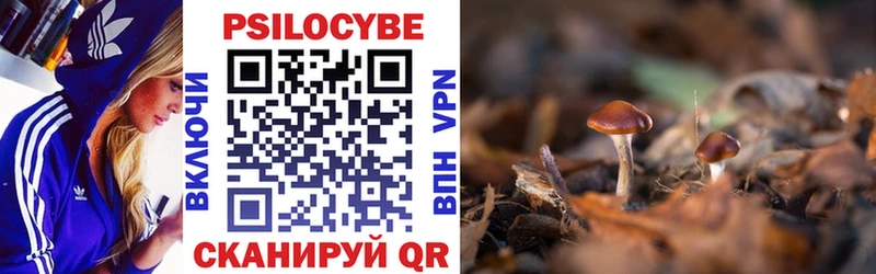 Галлюциногенные грибы прущие грибы  Ермолино 